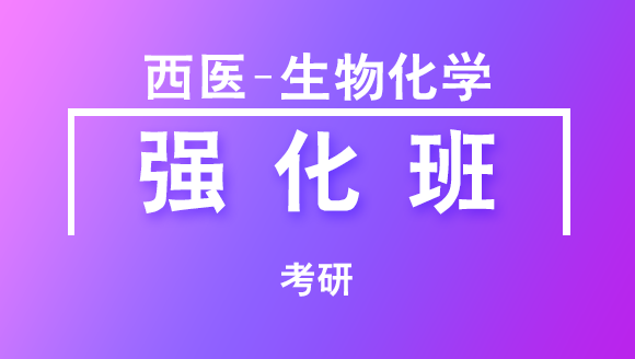 2019年考研：西医-生物化学【强化班】
