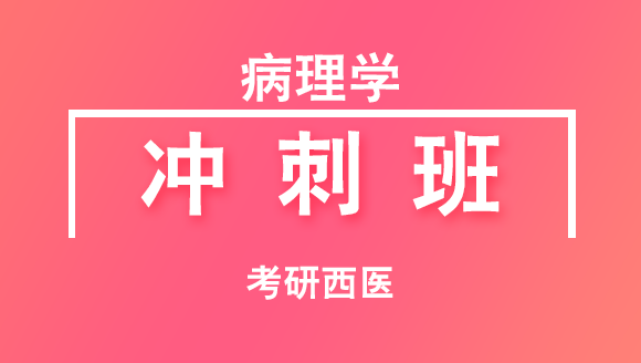 2019年考研：西医-病理学【冲刺班】
