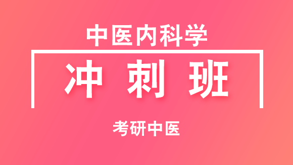 2019年考研：中医-中医内科学【冲刺班】