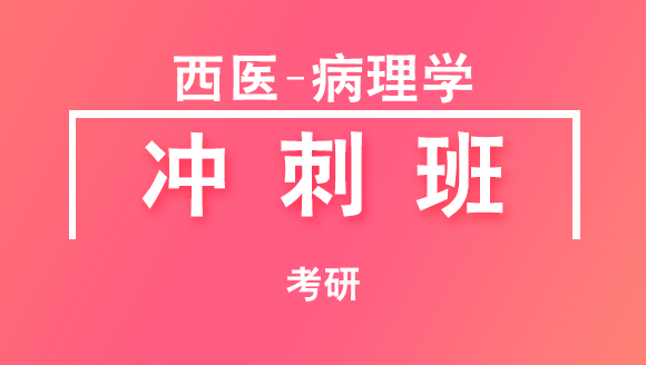 考研：西医-病理学【冲刺班】-任博