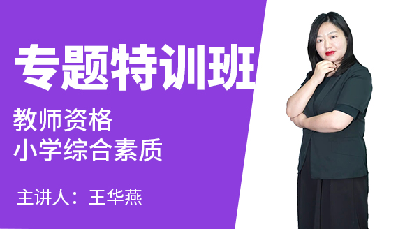 教师资格：小学综合素质【专题特训班】-王华燕