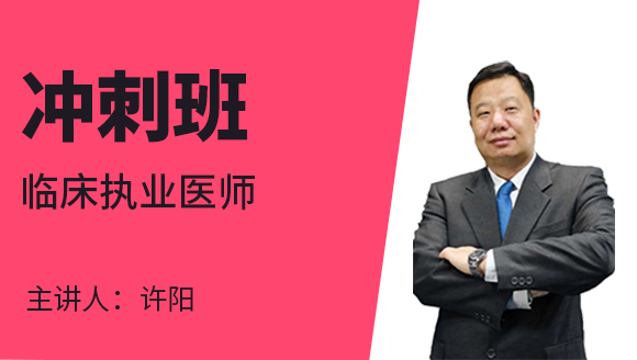 临床执业医师【冲刺班】-许阳
