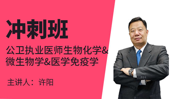 公卫执业医师：生物化学&微生物学&医学免疫学【冲刺班】-许阳