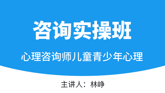 2025年儿童青少年心理【咨询实操班】-林峥
