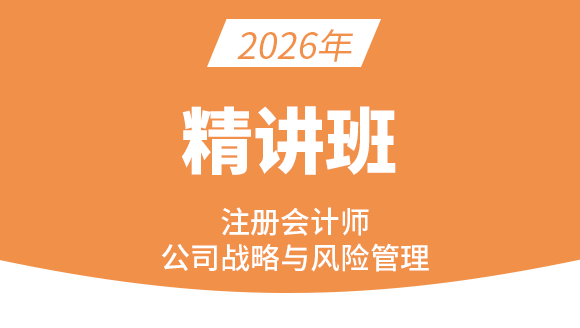 2026年公司战略风险【精讲班】-费善峰