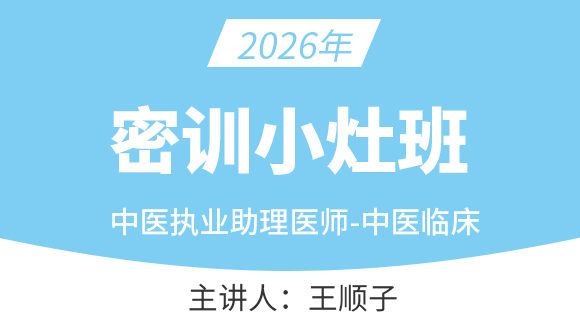 中医执业助理医师：中医临床【密训小灶班】-王顺子