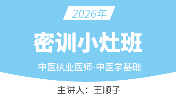 中医执业医师：中医学基础【密训小灶班】-王顺子