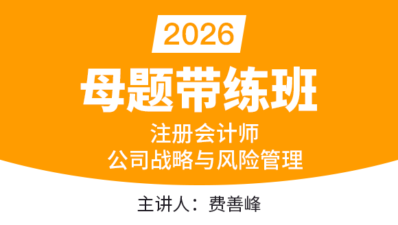 公司战略与风险管理【母题带练班】-费善峰