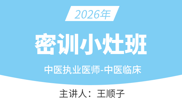 中医执业医师：中医临床【密训小灶班】-王顺子