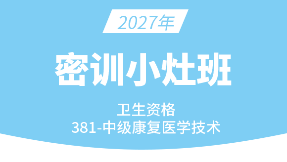 2027年381-康复医学治疗技术【密训小灶班】-李永杰