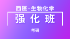 考研：西医-生物化学【强化班】-任博