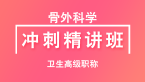 卫生高级职称：骨外科学【冲刺精讲班直播回看】-刘洋