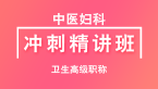 卫生高级职称：中医妇科【冲刺精讲班直播回看】-王欢
