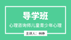2025年儿童青少年心理【导学班】-林峥