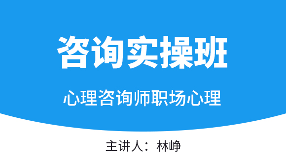 职场心理【咨询实操班】-林峥