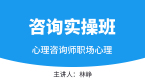 2022年职场心理【咨询实操班】-林峥