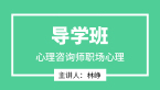 2025年职场心理【导学班】-林峥