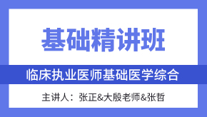 2025年综合笔试：基础医学综合【基础精讲班】-张正&大殷老师&张哲