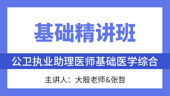 综合笔试：基础医学综合【基础精讲班】-大殷老师&张哲