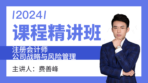 公司战略与风险管理【课程精讲班】-费善峰