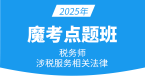 2025年涉税服务相关法律【魔考点题班】-李婷