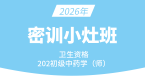2026年202-中药学【密训小灶班】-王韵茹