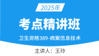 2025年389-病案信息技术-专业知识【考点精讲班】-王玲