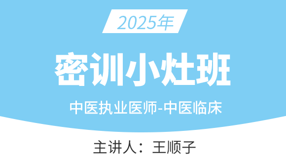 中医执业医师：中医临床【密训小灶班】-王顺子