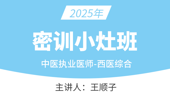 中医执业医师：西医综合【密训小灶班】-王顺子