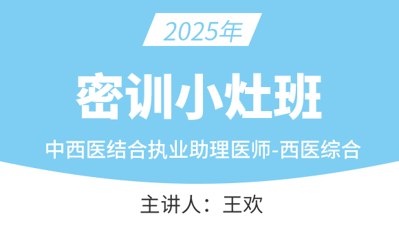 中西医结合执业助理医师：西医综合【密训小灶班】-王欢