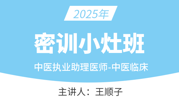 中医执业助理医师：中医临床【密训小灶班】-王顺子
