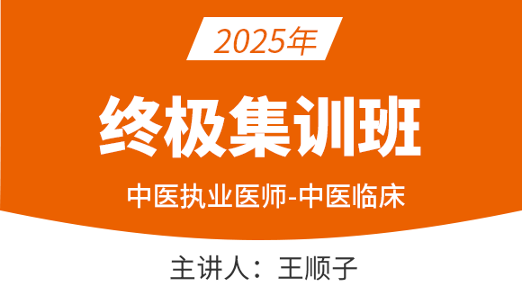 中医执业医师：中医临床【终极集训班】-王顺子