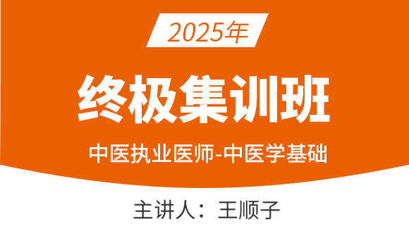 中医执业医师：中医学基础【终极集训班】-王顺子