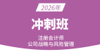 2026年公司战略风险【冲刺班】-费善峰