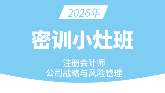 公司战略风险【密训小灶班】-费善峰
