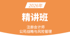 2026年公司战略风险【精讲班】-费善峰