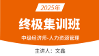 2025年人力资源管理【终极集训班】-文鑫