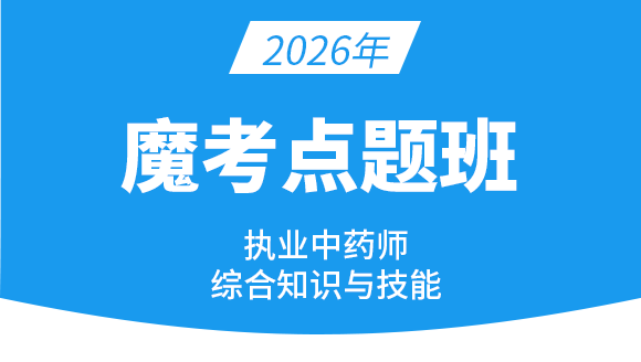综合知识与技能【魔考点题班】