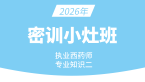 2026年专业知识（二）【密训小灶班】