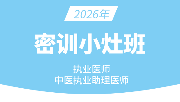 中医执业助理医师【密训小灶班】