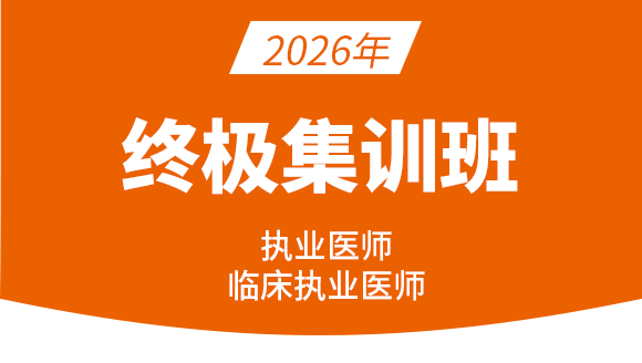 临床执业医师【终极集训班】