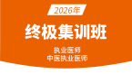 2026年中医执业医师【终极集训班】