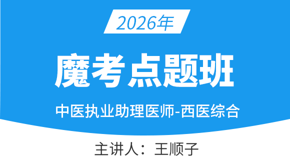 中医执业助理医师：中医学基础【魔考点题班】-王顺子