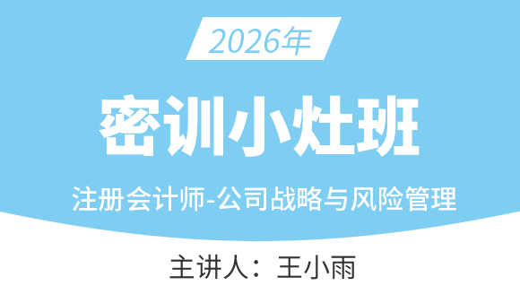 公司战略风险【密训小灶班】-王小雨