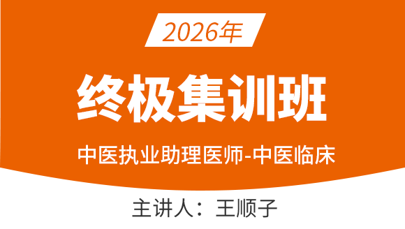 2026年中医执业助理医师：中医临床【终极集训班】-王顺子