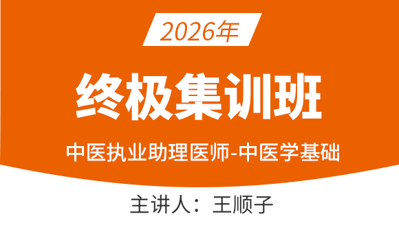中医执业助理医师：中医学基础【终极集训班】-王顺子