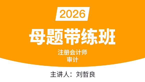 审计【母题带练班】-刘哲良