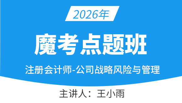 公司战略风险【魔考点题班】-王小雨