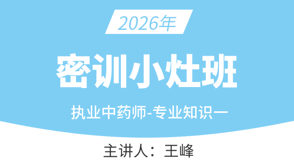 专业知识（一）【密训小灶班】-王峰