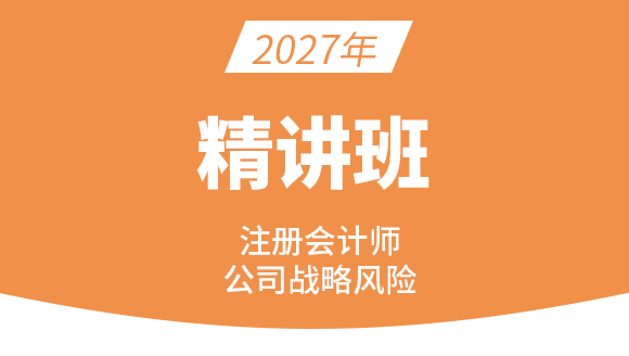 2027年公司战略风险【课程精讲班】-费善峰